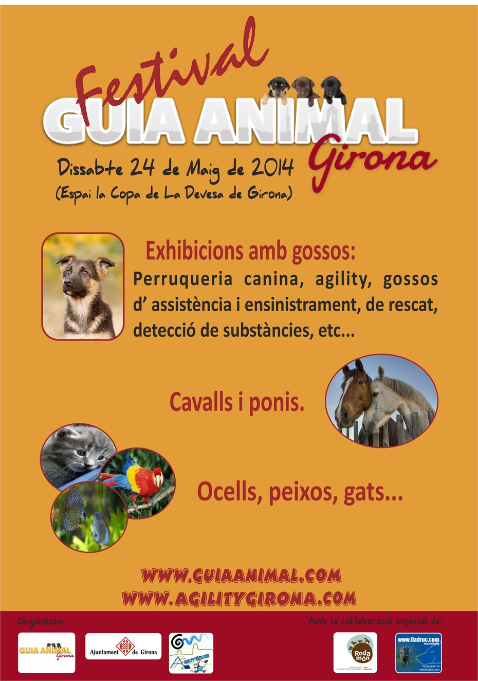 Cartell Guia Animal(1).jpg - 509.64 KB